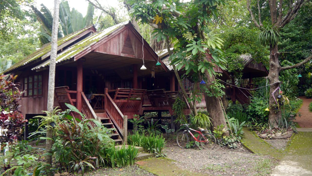 Misty View Guesthouse Pai Oda fotoğraf